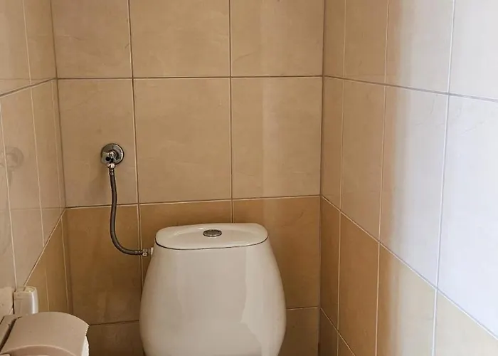 U Pawla 3* 波别罗沃